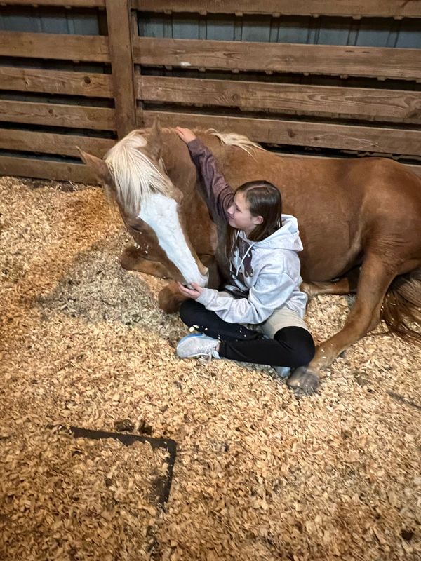 A girl hugging a horse in its stall