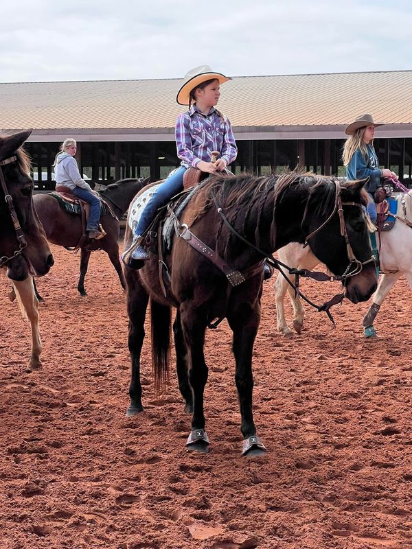 A young rider on a dark horse in the arena